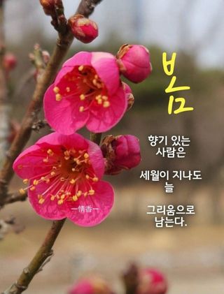 최재만님의 자유주제 · 자유게시판 작성글 사진