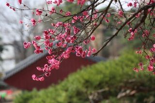 김윤기님의 자유주제 · 자유게시판 작성글 사진