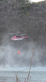 팜모닝 자유주제·자유게시판 게시글 이미지