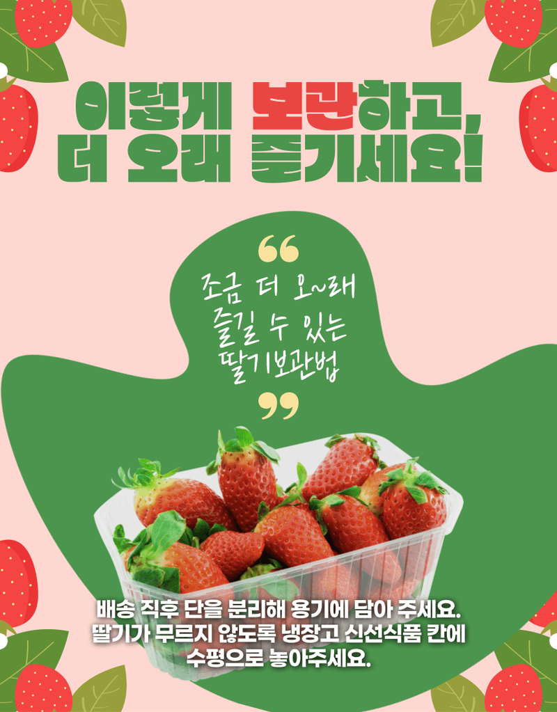 과일팩토리님의 장터 판매 상품 [과일팩토리 국산 프리미엄 설향 딸기 산지직송 350G/700G] 첨부 사진