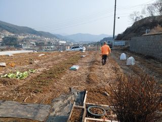 이박농장님의 자유주제 · 자유게시판 작성글 사진