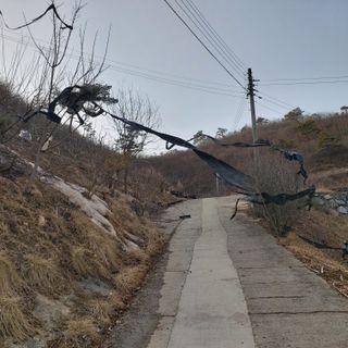 가로수님의 자유주제 · 자유게시판 작성글 사진
