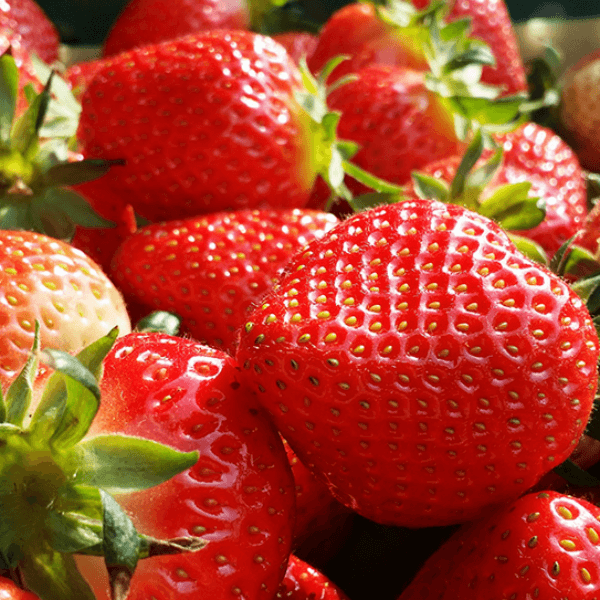 장터 상품 [과일팩토리 국산 프리미엄 설향 딸기 산지직송 350G/700G] 썸네일