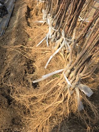 채대영님의 자유주제 · 자유게시판 작성글 사진