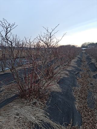 이재국님의 자유주제 · 자유게시판 작성글 사진