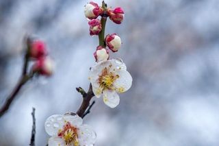 김윤기님의 자유주제 · 자유게시판 작성글 사진