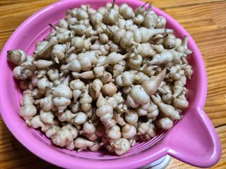 약초를사랑한짱아줌마님의 작성글 사진