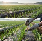 대산농사대장님의 자유주제·자유게시판 작성글 사진