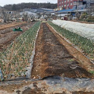 나누고싶어서님의 자유주제 · 자유게시판 작성글 사진
