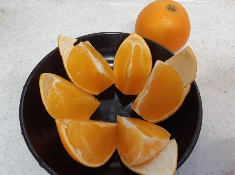 송응준님의 장터 판매 상품 [한라봉 10kg] 첨부 사진