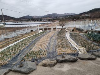 장례지도사1급님의 자유주제 · 자유게시판 작성글 사진