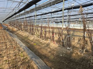 채대영님의 자유주제 · 자유게시판 작성글 사진