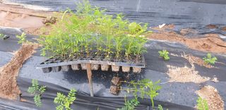 채대영님의 자유주제 · 자유게시판 작성글 사진