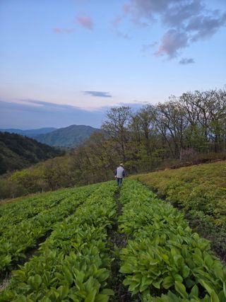 김봉래님의 작성글 사진