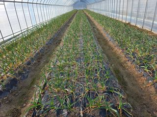 아침못자연농원님의 자유주제 · 자유게시판 작성글 사진