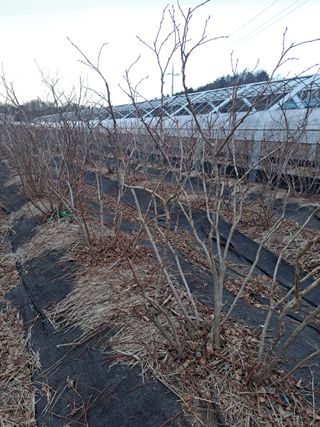 이재국님의 자유주제 · 자유게시판 작성글 사진