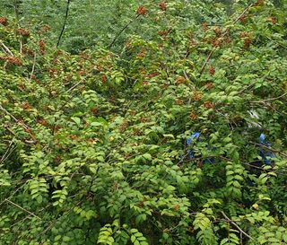 채대영님의 자유주제 · 자유게시판 작성글 사진