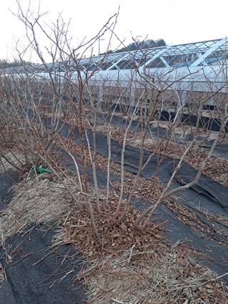 이재국님의 자유주제 · 자유게시판 작성글 사진