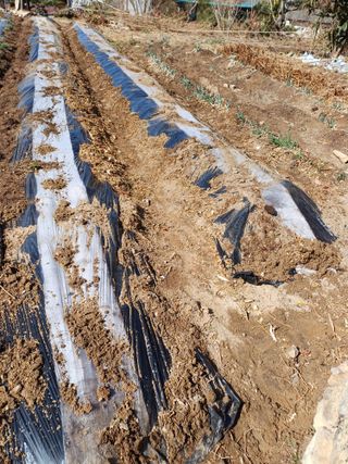 신 난다님의 자유주제 · 자유게시판 작성글 사진