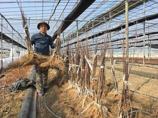 채대영님의 자유주제 · 자유게시판 작성글 사진