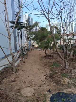 아산님의 자유주제 · 자유게시판 작성글 사진