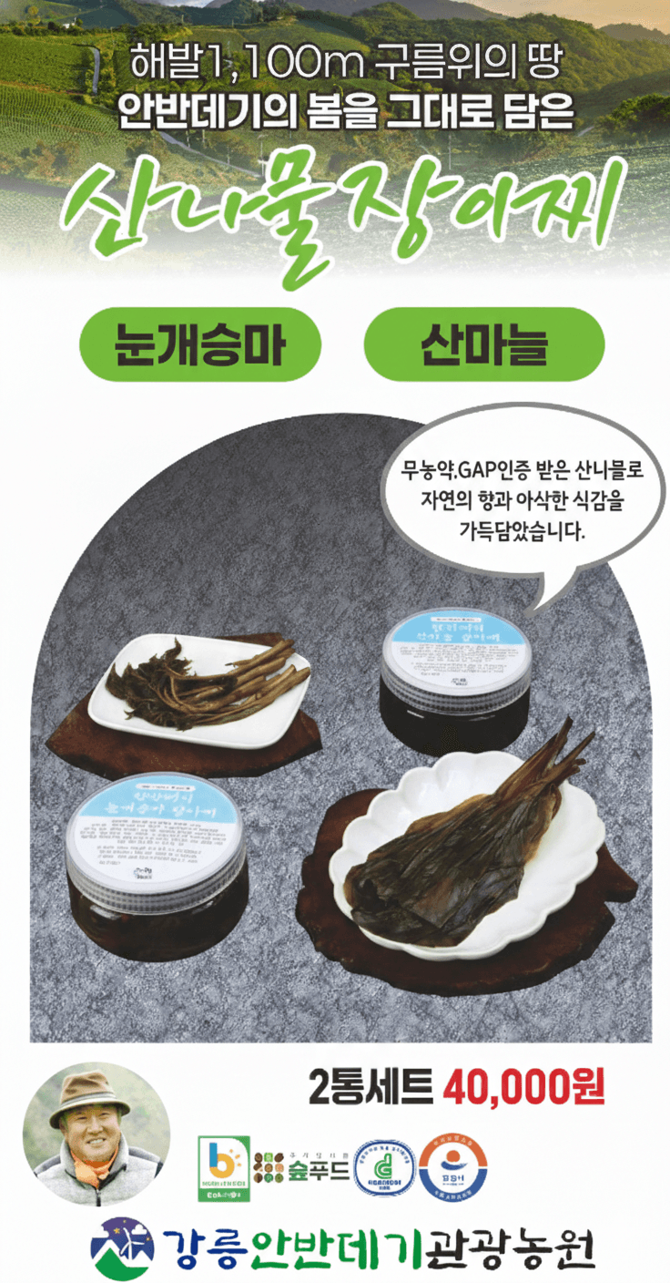 장터 상품 [안반데기 산나물 장아찌 ] 썸네일