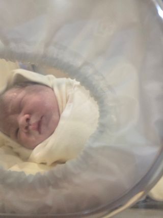 빛그린 김용화님의 자유주제 · 자유게시판 작성글 사진