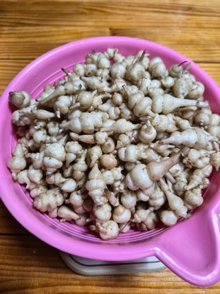 약초를사랑한짱아줌마님의 작성글 사진