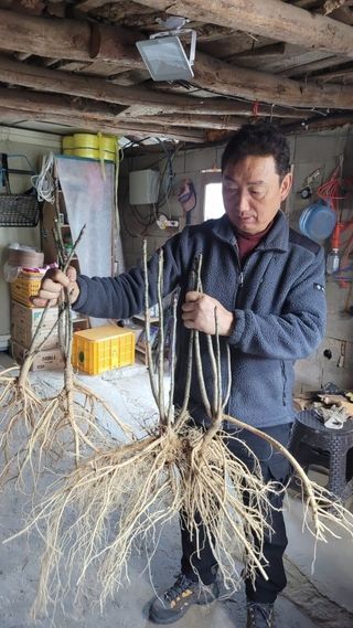 김봉래님의 자유주제 · 자유게시판 작성글 사진