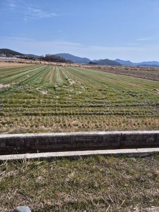 김영진(전남영광)님의 자유주제 · 자유게시판 작성글 사진