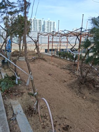 아산님의 자유주제 · 자유게시판 작성글 사진