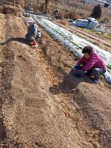 팜모닝 자유주제·자유게시판 게시글 이미지