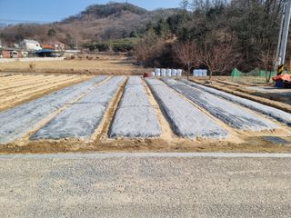 김길수님의 자유주제 · 자유게시판 작성글 사진