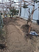 팜모닝 자유주제·자유게시판 게시글 이미지