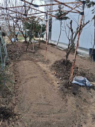 아산님의 자유주제 · 자유게시판 작성글 사진