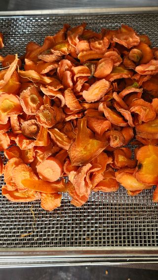 유기농으로키우자님의 자유주제 · 자유게시판 작성글 사진