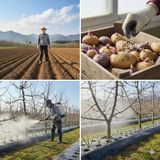 대산농사대장님의 자유주제·자유게시판 작성글 사진