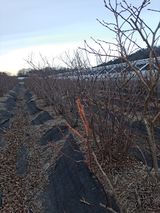 팜모닝 자유주제·자유게시판 게시글 이미지