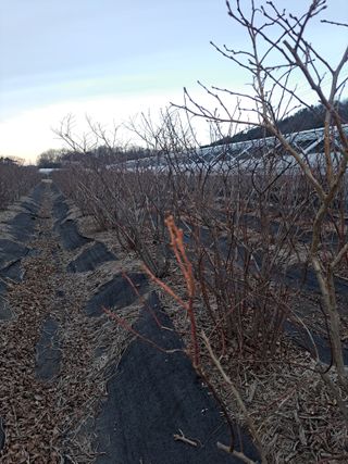 이재국님의 자유주제 · 자유게시판 작성글 사진