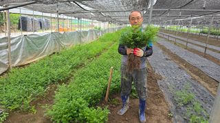 채대영님의 자유주제 · 자유게시판 작성글 사진