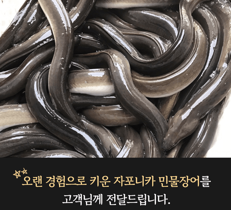 스피드번님의 장터 판매 상품 [특가 고창 자포니카 민물장어] 첨부 사진