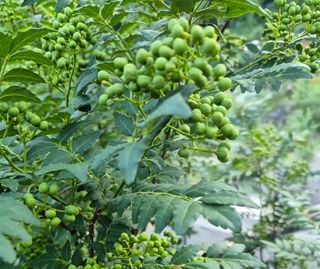 채대영님의 자유주제 · 자유게시판 작성글 사진