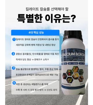 대산농사대장님의 양파 · 자유게시판 작성글 사진