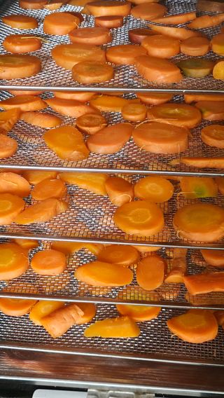 유기농으로키우자님의 자유주제 · 자유게시판 작성글 사진