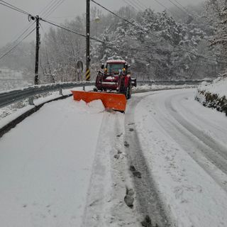 오영도님의 자유주제 · 자유게시판 작성글 사진