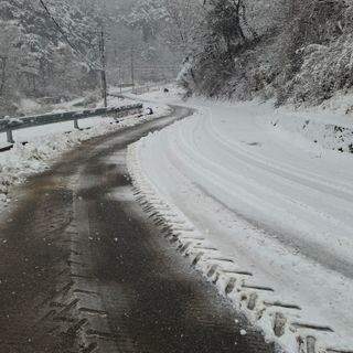 오영도님의 자유주제 · 자유게시판 작성글 사진