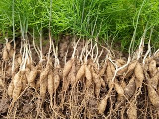 이창신님의 자유주제 · 자유게시판 작성글 사진