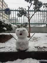 뚝방님의 자유주제·자유게시판 작성글 사진