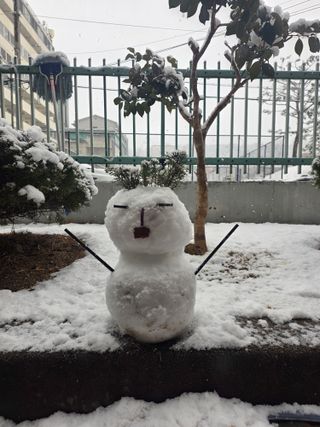 뚝방님의 자유주제 · 자유게시판 작성글 사진