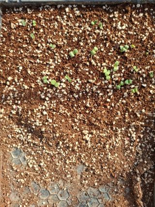 황병철님의 작성글 사진